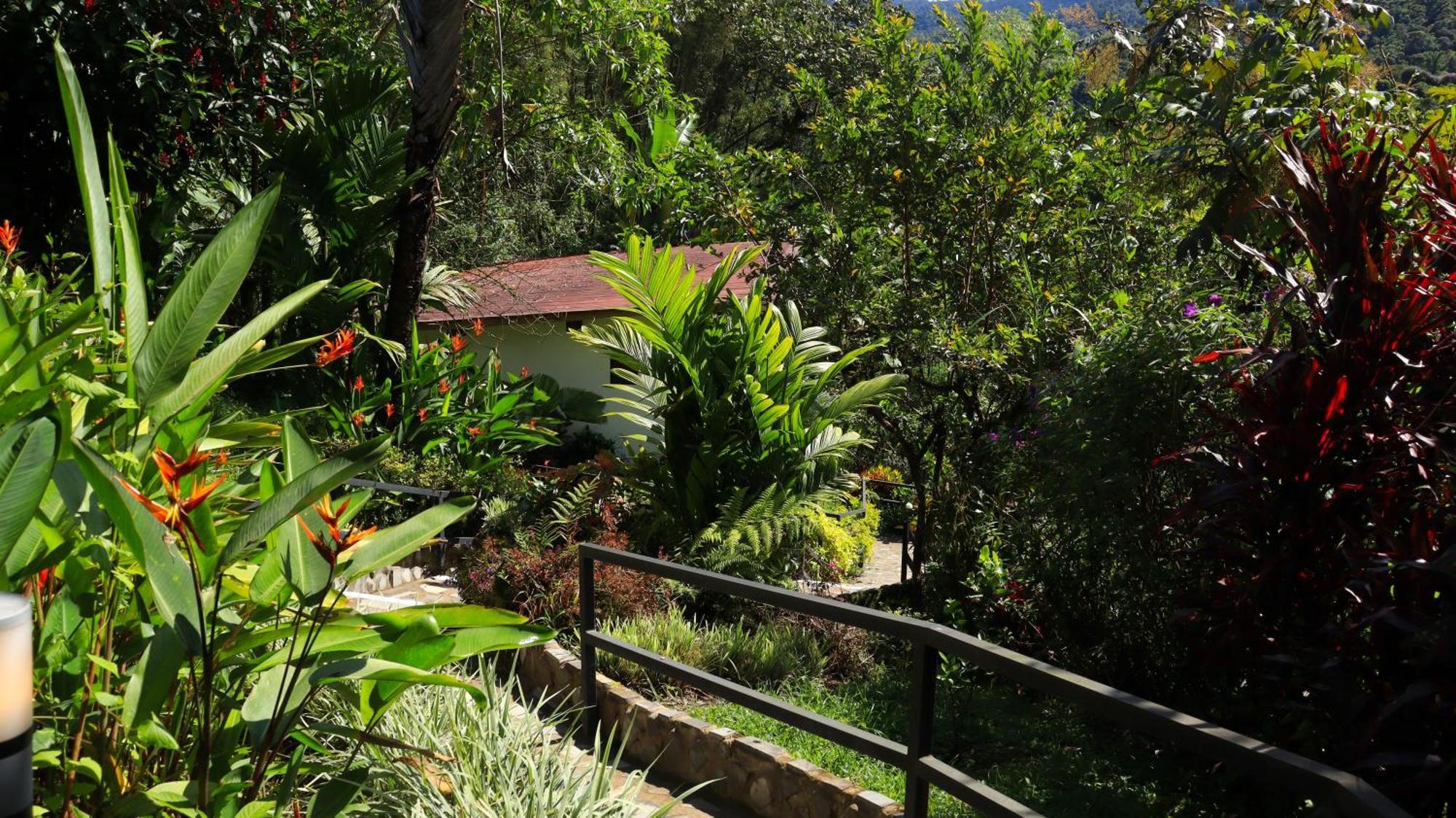 Las Terrazas De Dana Boutique Lodge & Spa Mindo Exterior photo