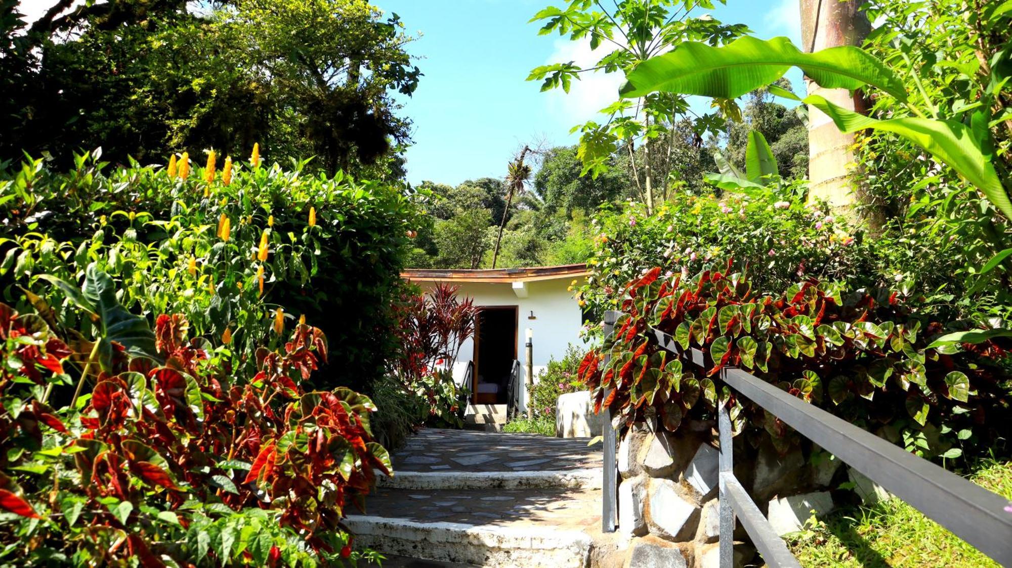 Las Terrazas De Dana Boutique Lodge & Spa Mindo Exterior photo